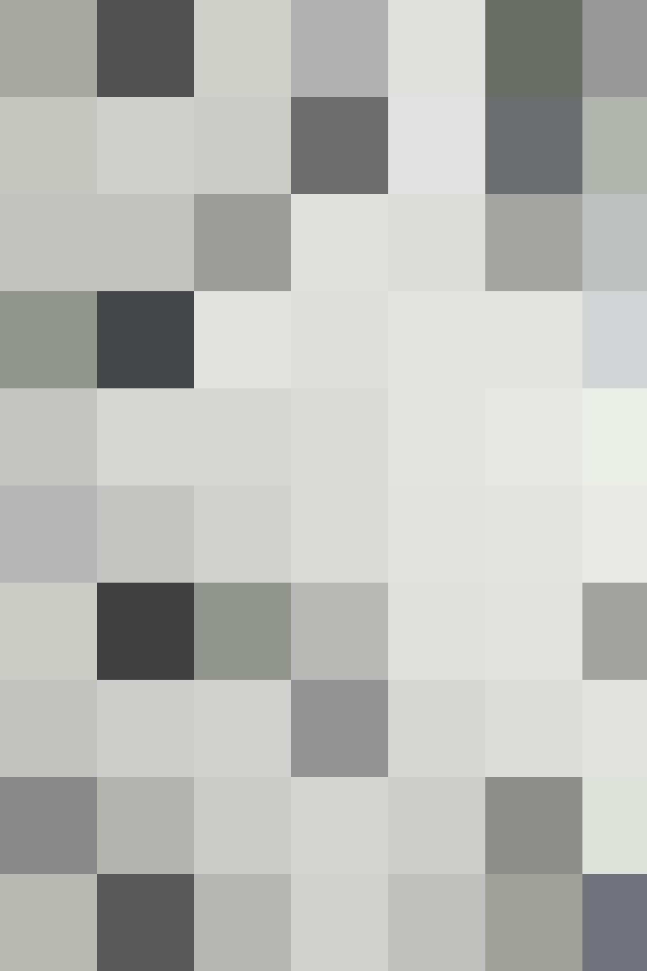 IBS Fibre Weatherboard051