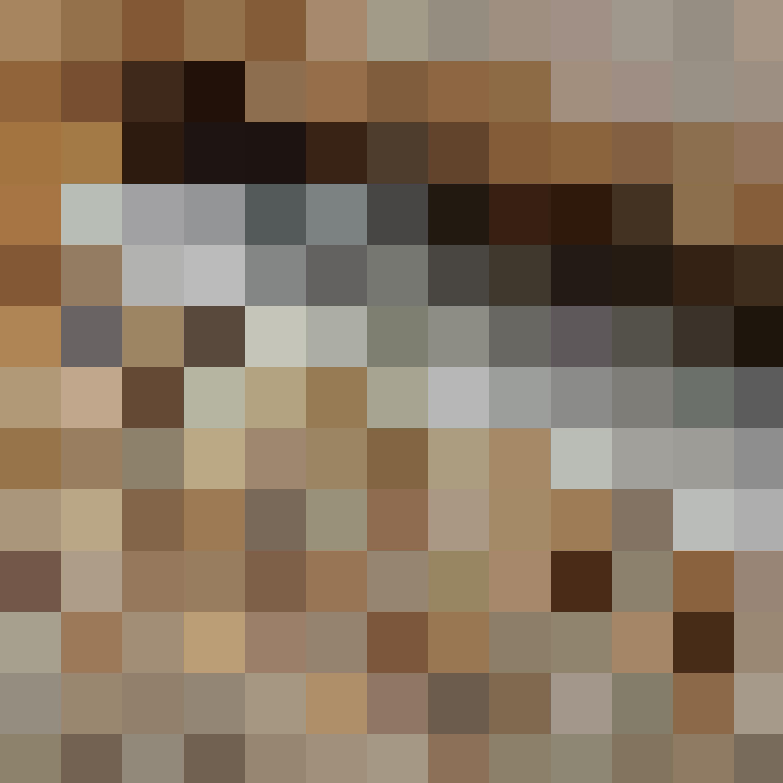 Softboard s scaled