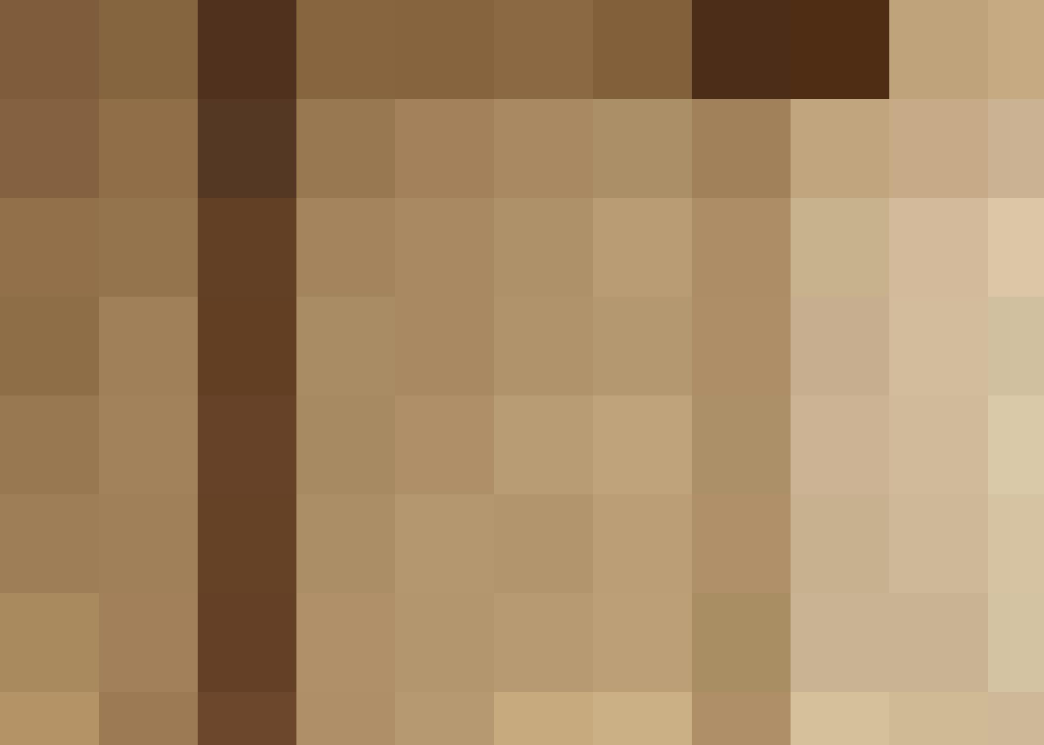 Rectangle 28